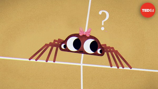 Dan Finkel: Can you solve the giant spider riddle?