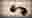 poster placeholder