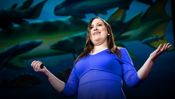 Lauren Sallan: How to win at evolution and survive a mass extinction