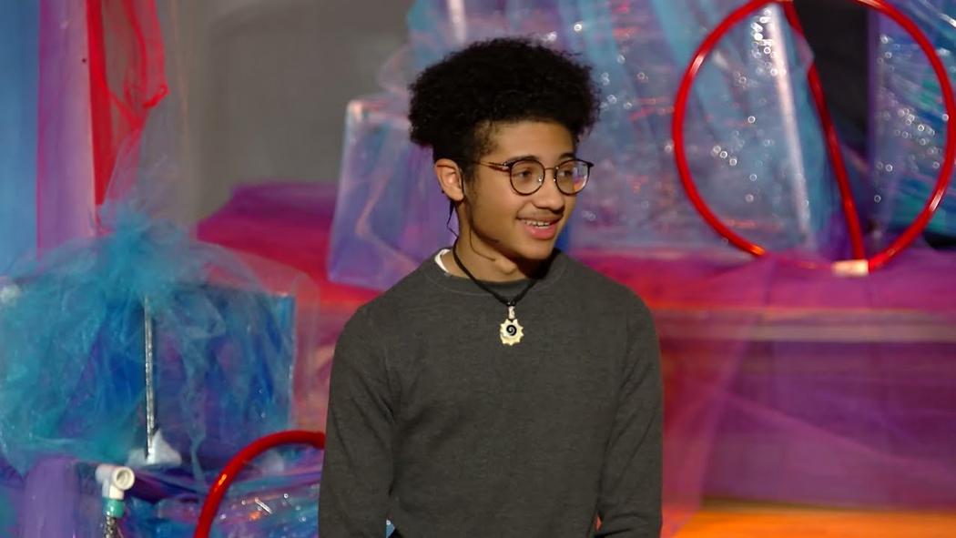 Payton Johnson What Does It Really Mean to Be Smart? TED Talk