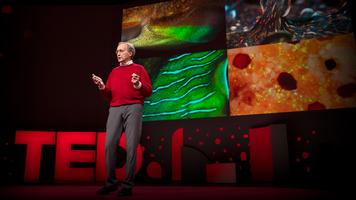 Roger Hanlon: The amazing brains and morphing skin of octopuses and other cephalopods