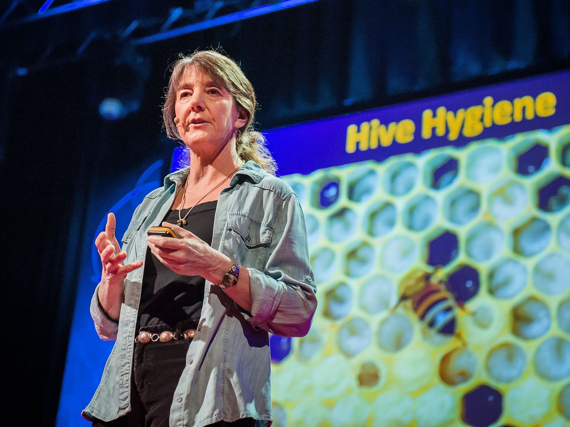 Why bees are disappearing