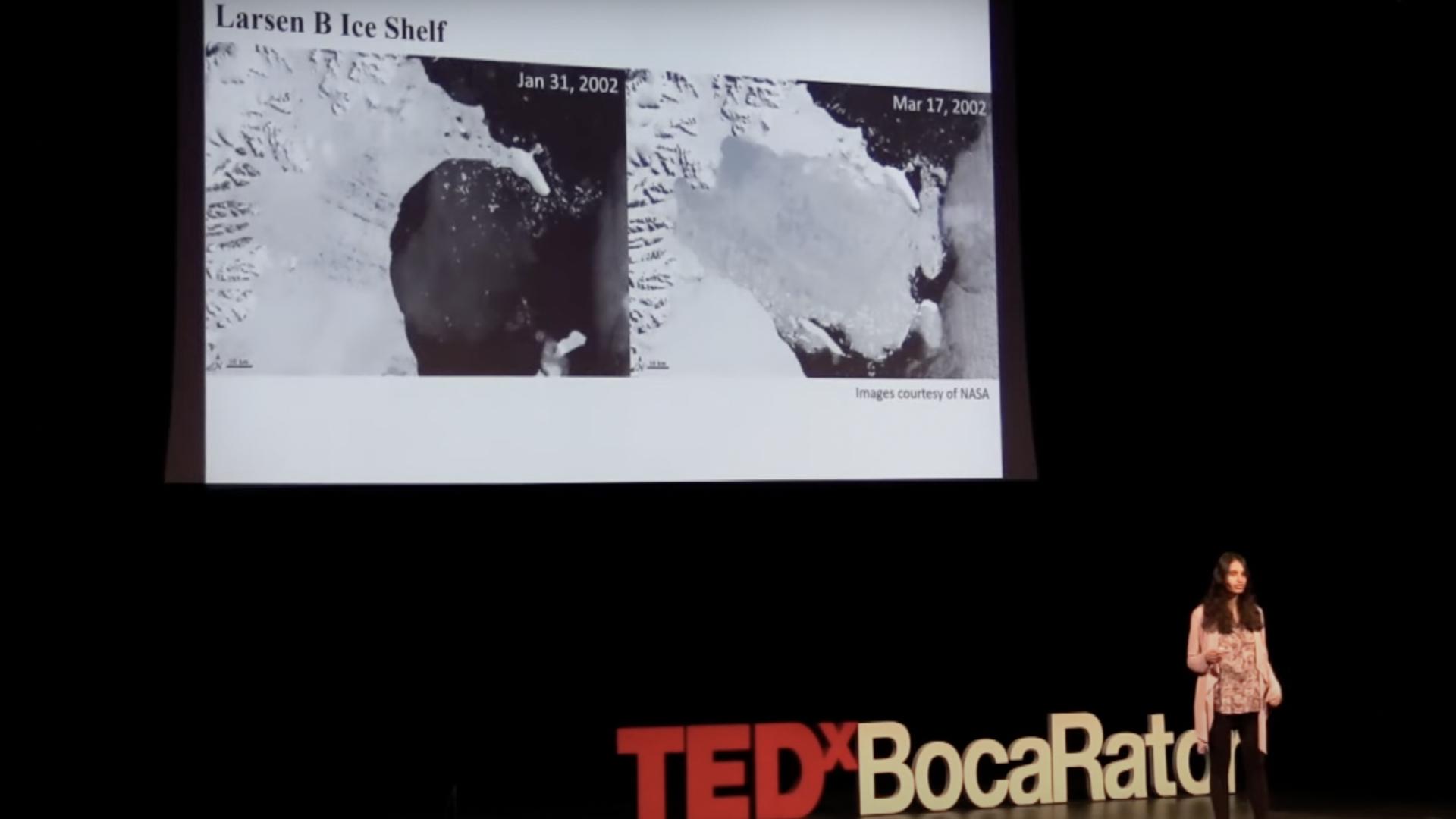 Our history and future in ice