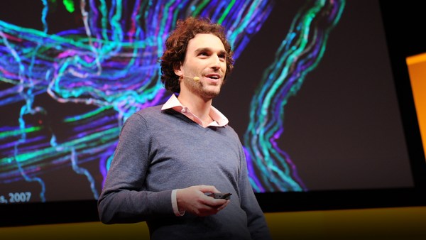Carl Schoonover: How to look inside the brain