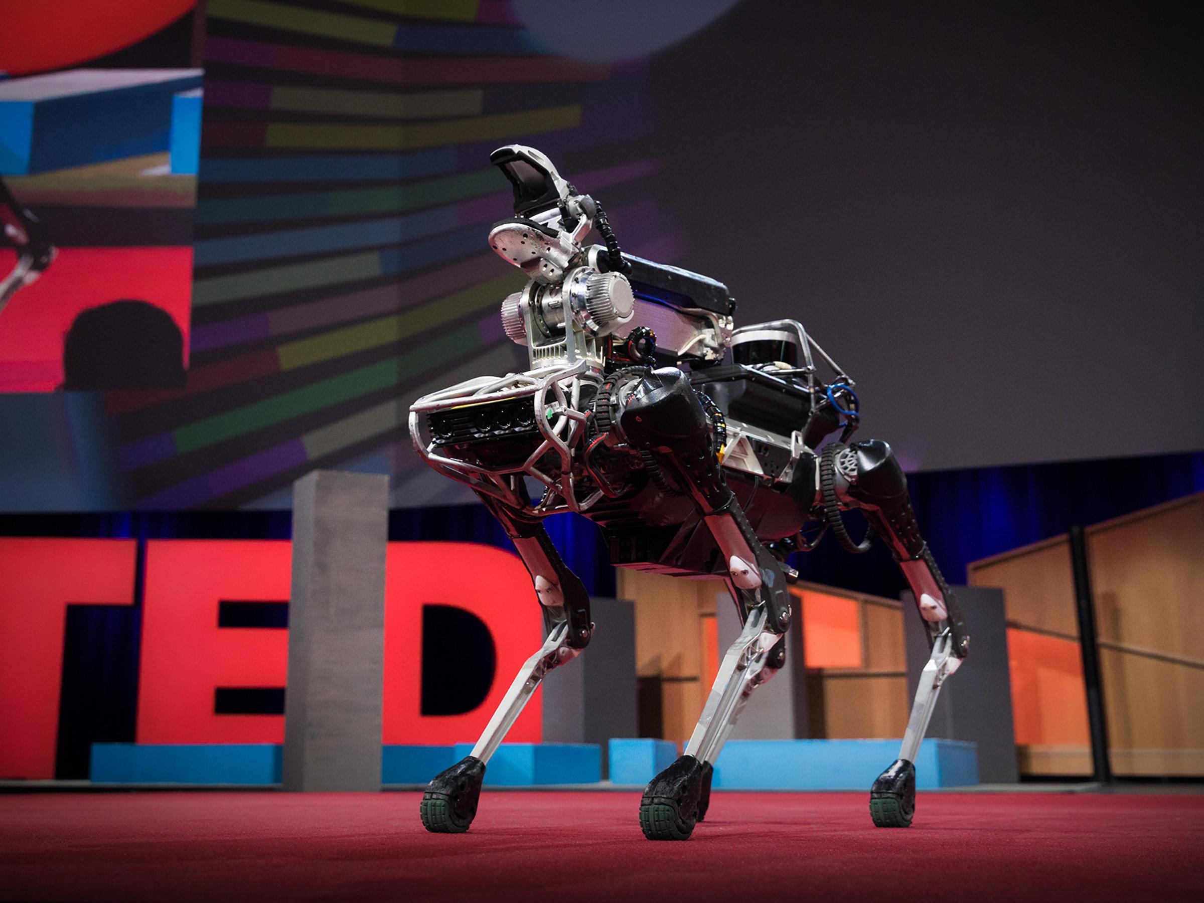 Meet Spot, the robot dog that can run, hop and open doors