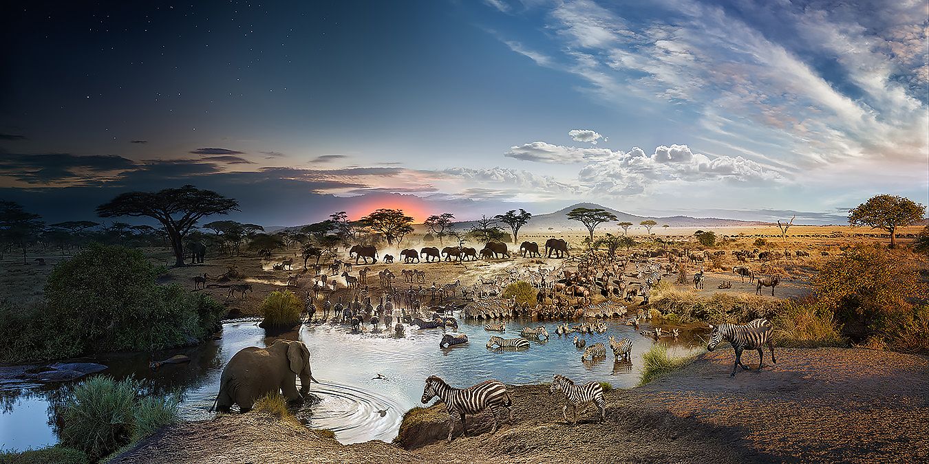 24 hours on Earth -- in one image