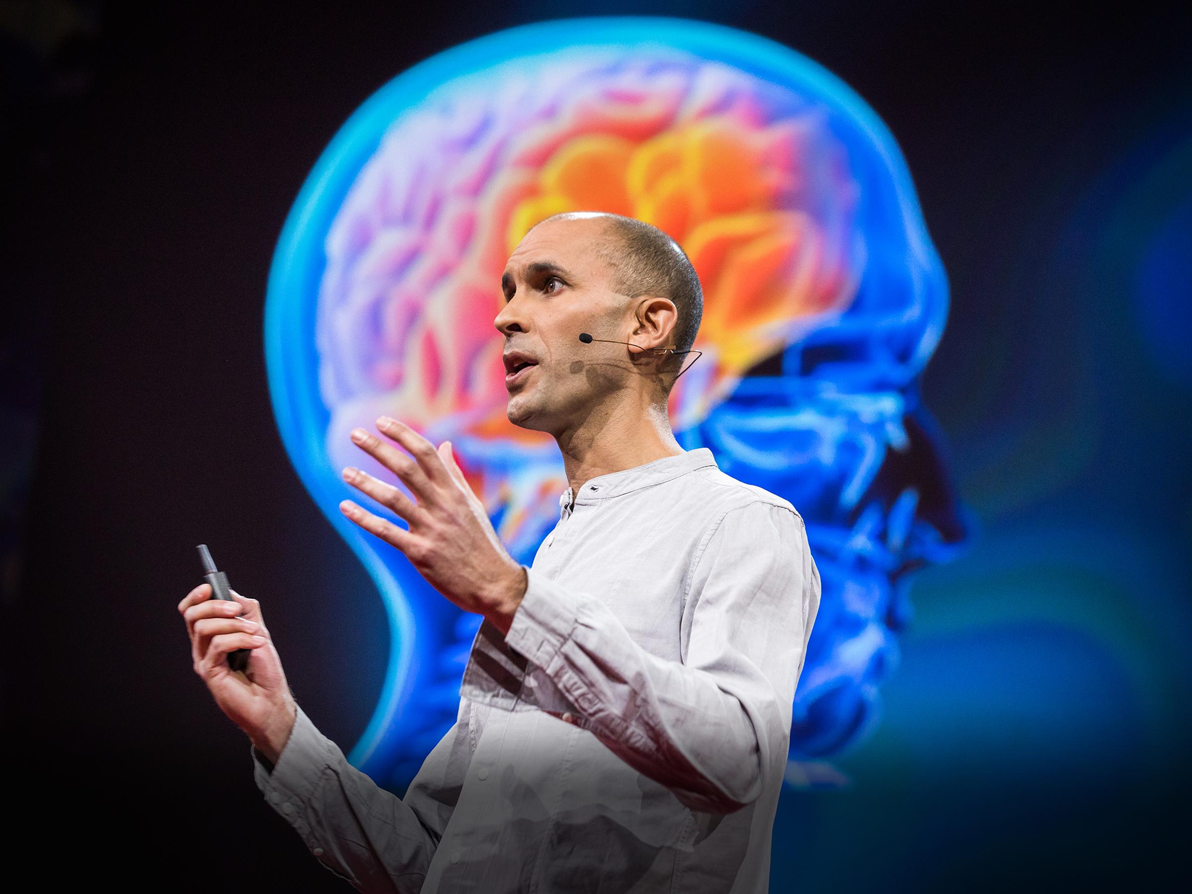 An idea from TED by Your brain hallucinates your conscious reality