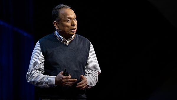 The wheat field that could change the world