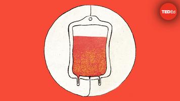 Bill Schutt: How do blood transfusions work?