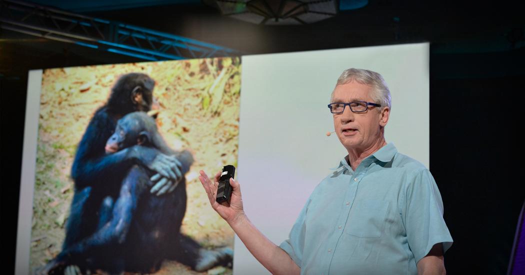 フランス ドゥ ヴァール アルファ雄の驚くべき科学 Ted Talk