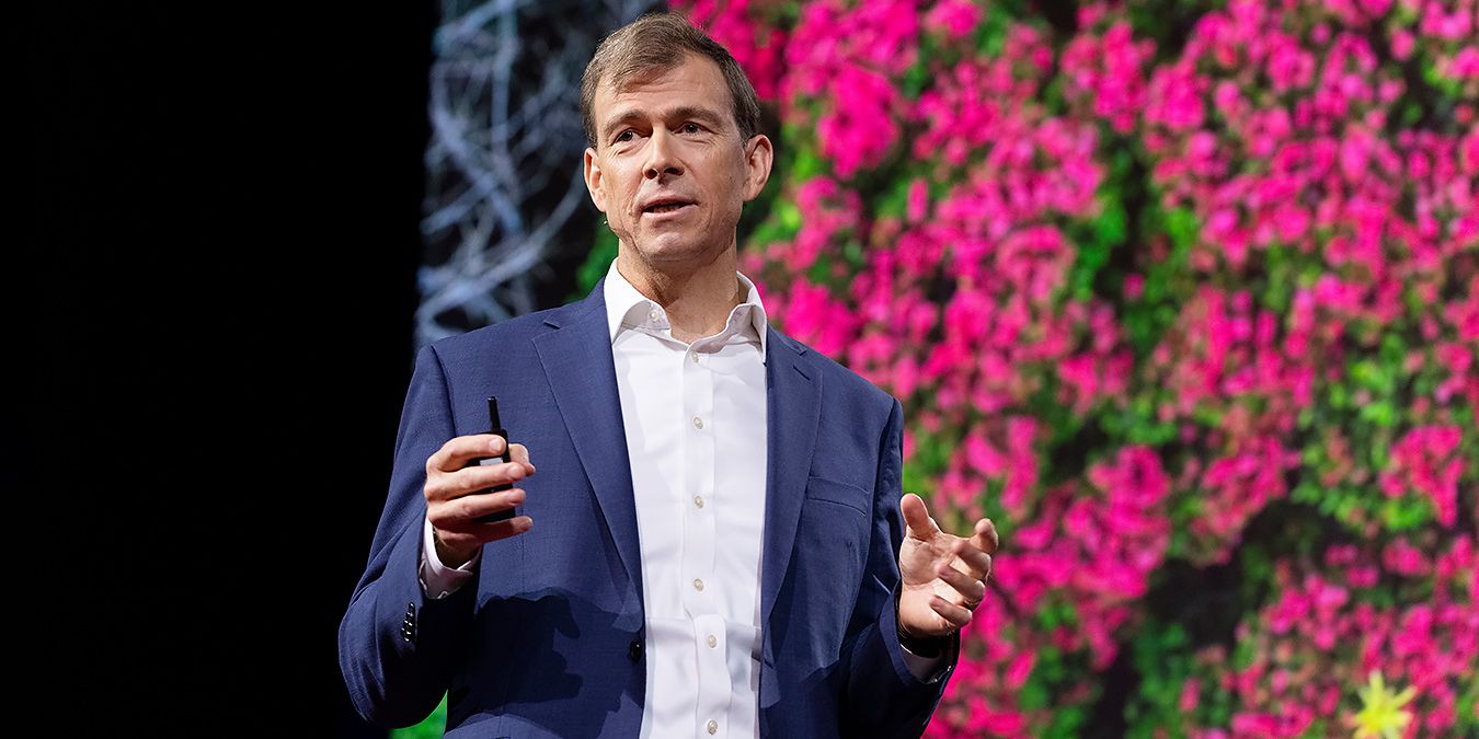 A new economic model for protecting tropical forests