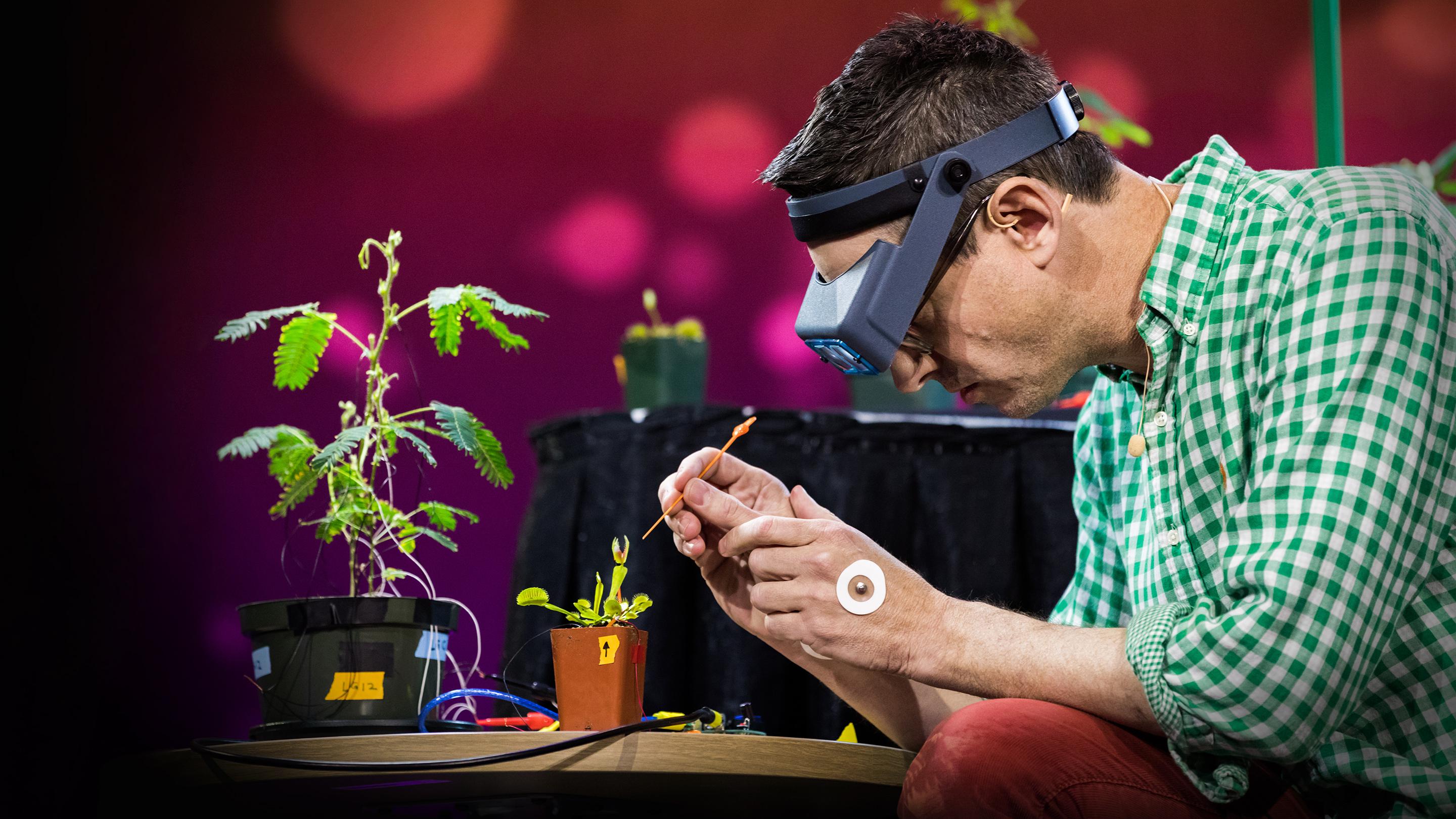 Experimentos eléctricos con plantas que cuentan y se comunican | Greg Gage