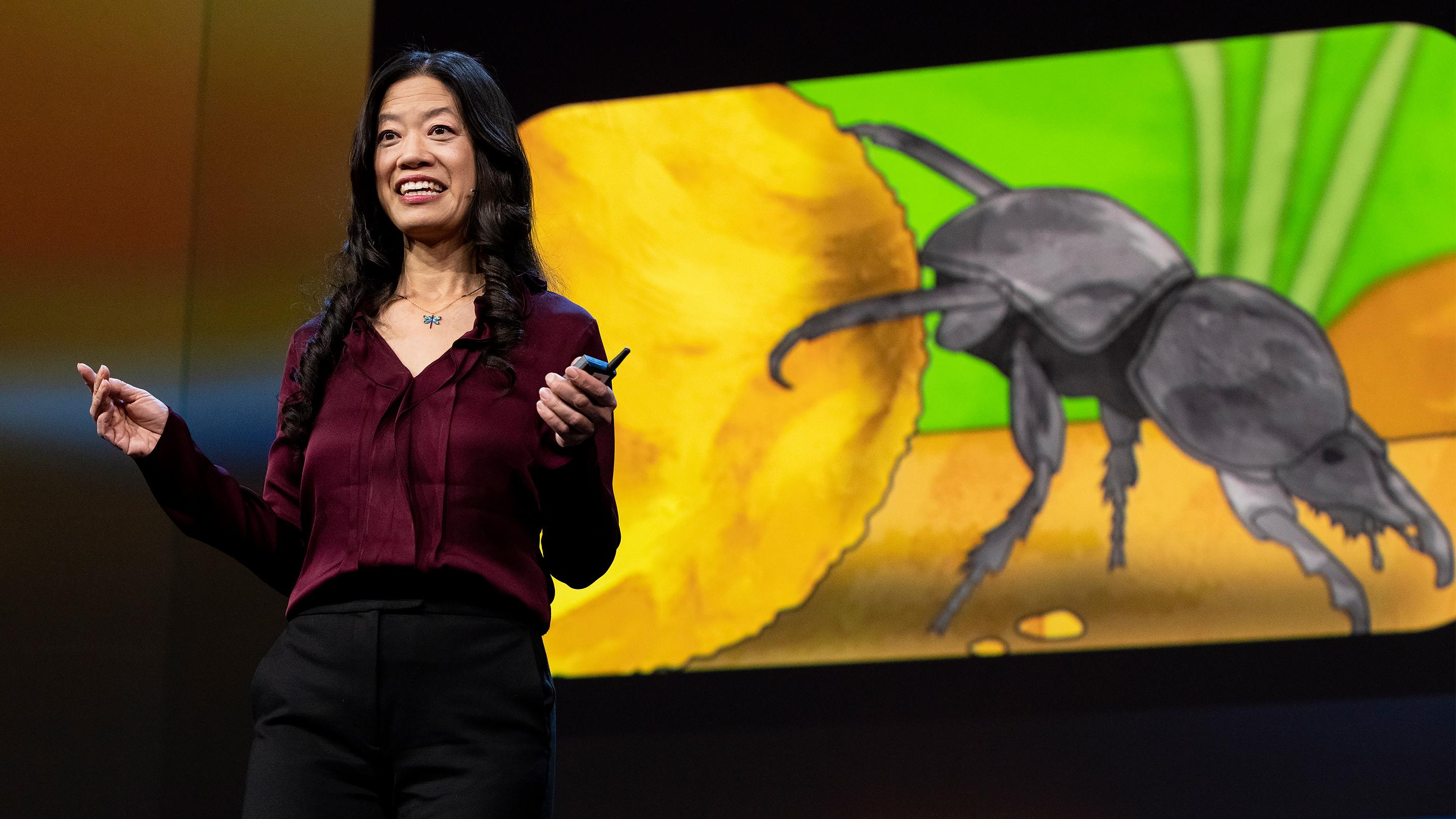 Скрыт ли в мозгу насекомого секрет для создания потрясающего ИИ? | Фрэнсис С. Чанс
