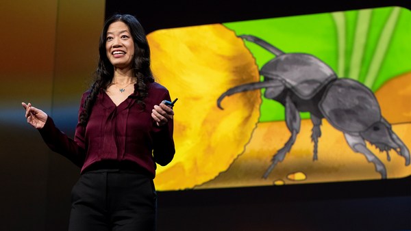 Frances S. Chance: Are insect brains the secret to great AI?