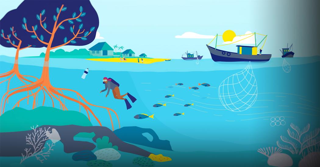 The Nature Conservancy: An ingenious proposal for scaling up marine ...