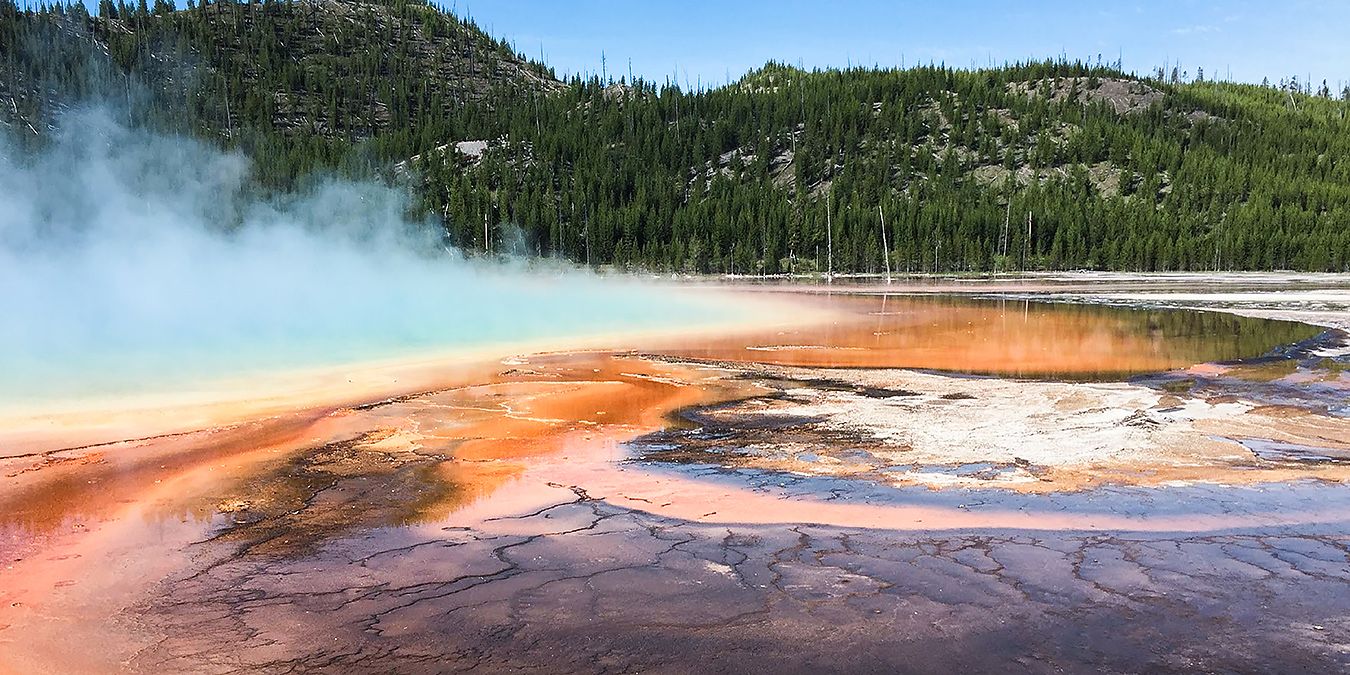 Earth's original inhabitants -- and their role in combating climate change