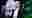 poster placeholder