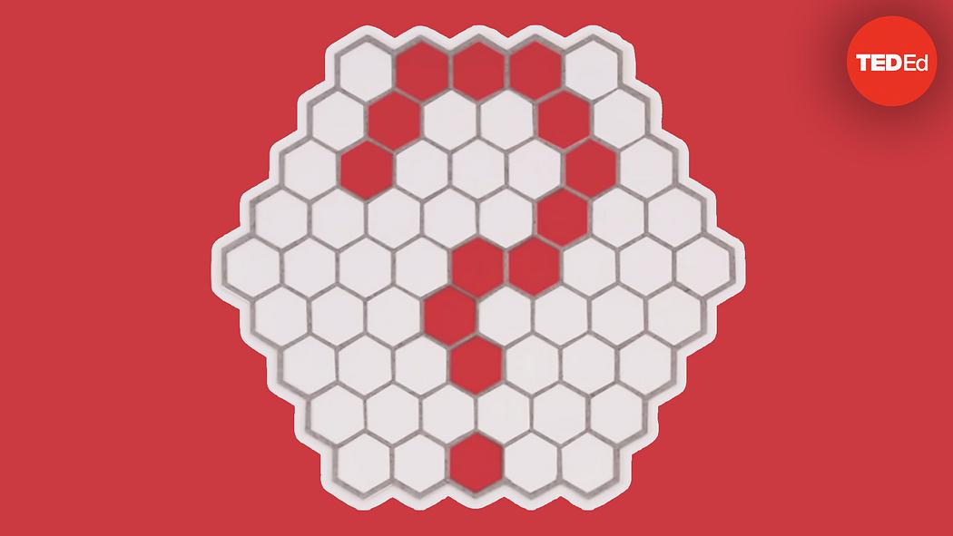 Dan Finkel: Can you solve the honeybee riddle? | TED Talk