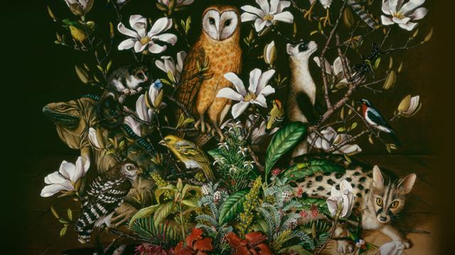 The beauty of wildlife — and an artistic call to protect it