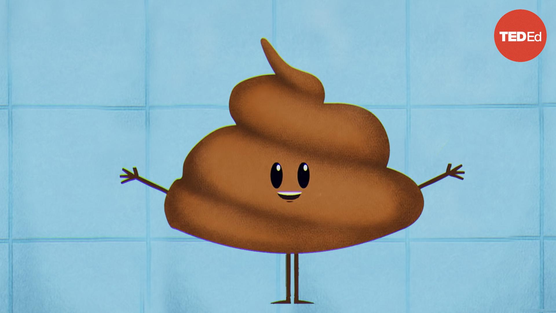 A brief history of toilets