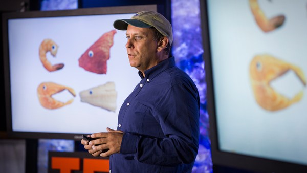 Paul Greenberg: The four fish we're overeating -- and what to eat instead