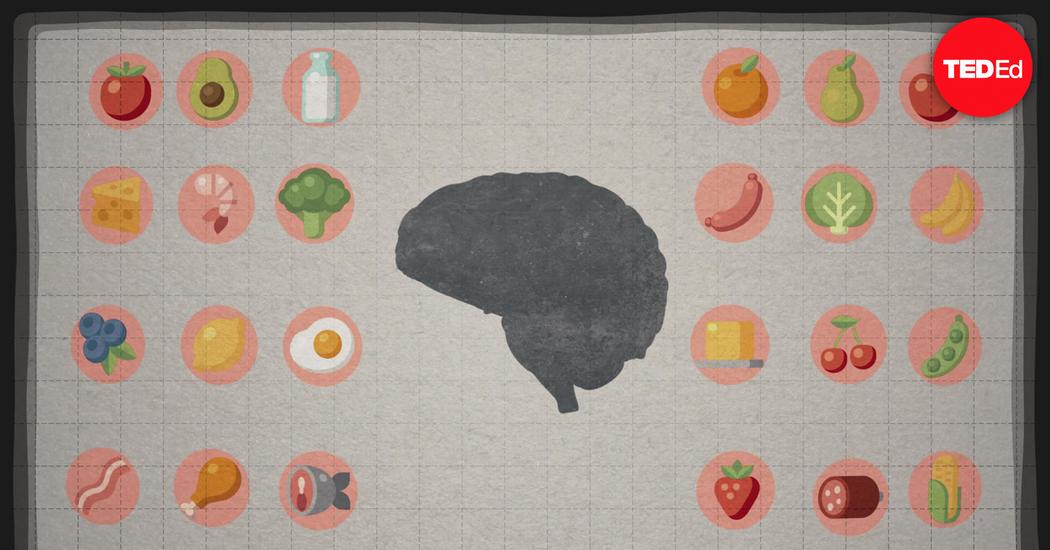 how food affects your brain ted ed