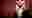 poster placeholder