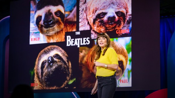 Lucy Cooke: Sloths! The strange life of the world's slowest mammal