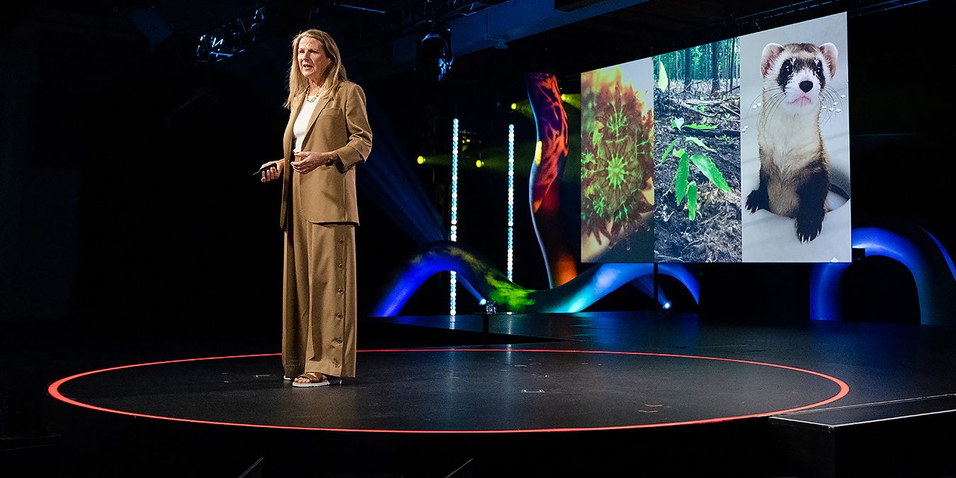 The intended consequences of helping nature thrive