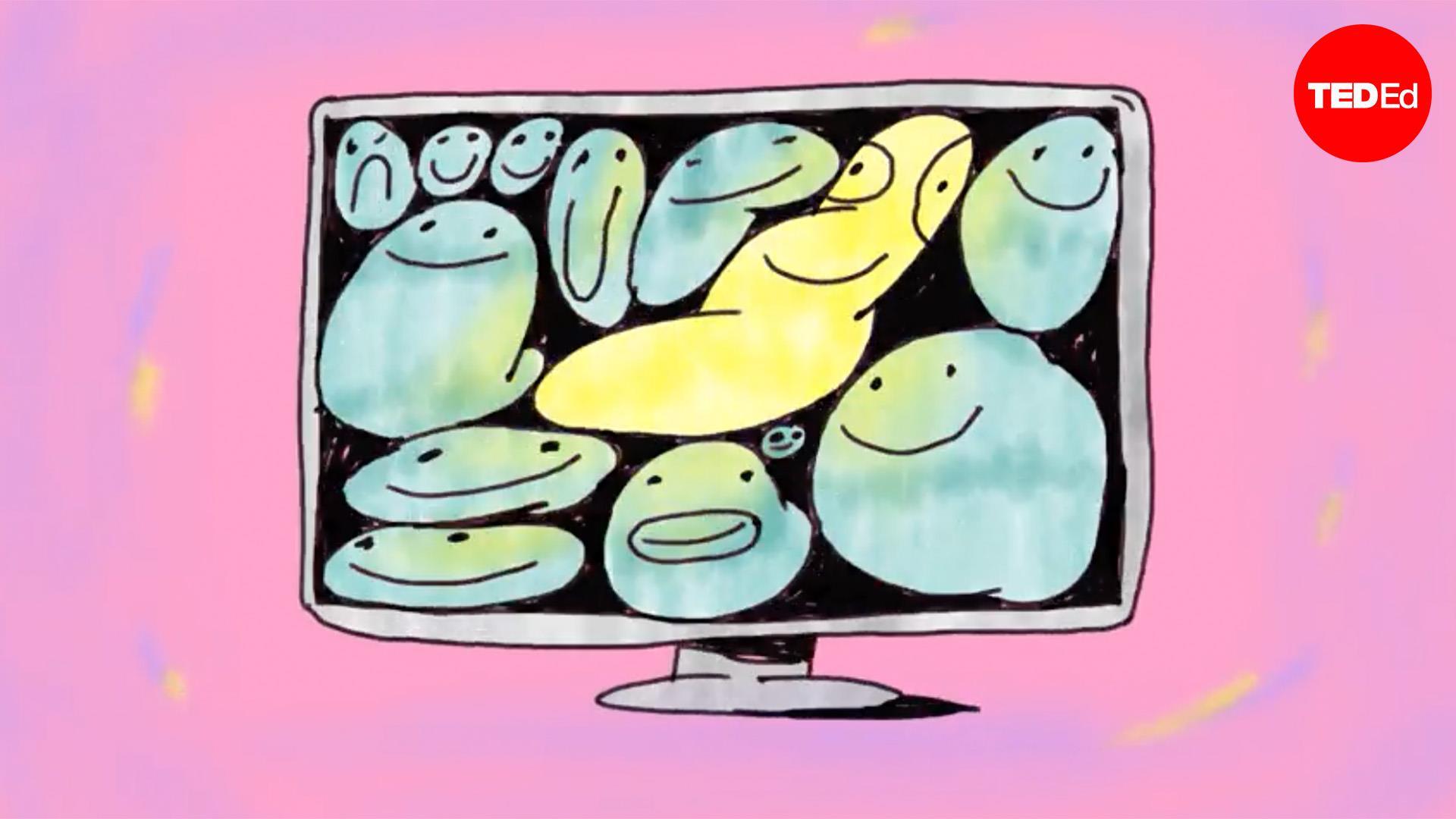 Susan G. Wardle Seeing things that aren't there? It's pareidolia TED