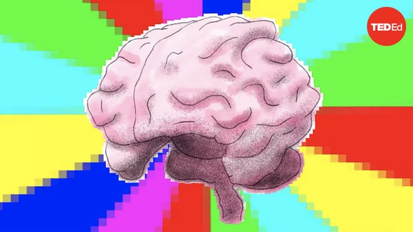 Elizabeth Waters: The left brain vs. right brain myth