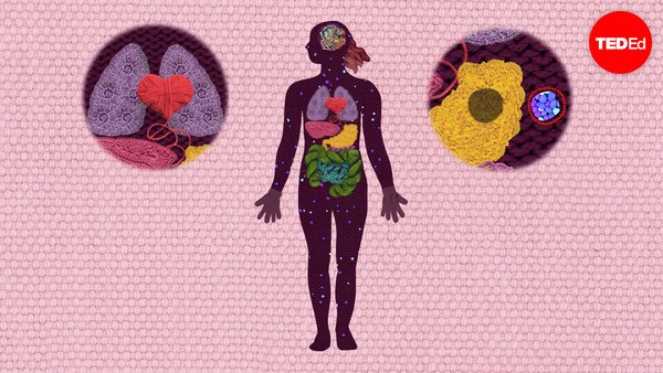 George Zaidan and Charles Morton: How do cancer cells behave differently from healthy ones?