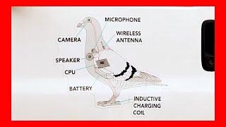 Connor Gaydos Breaks Silence In A Revealing Confession No One Watched Coming