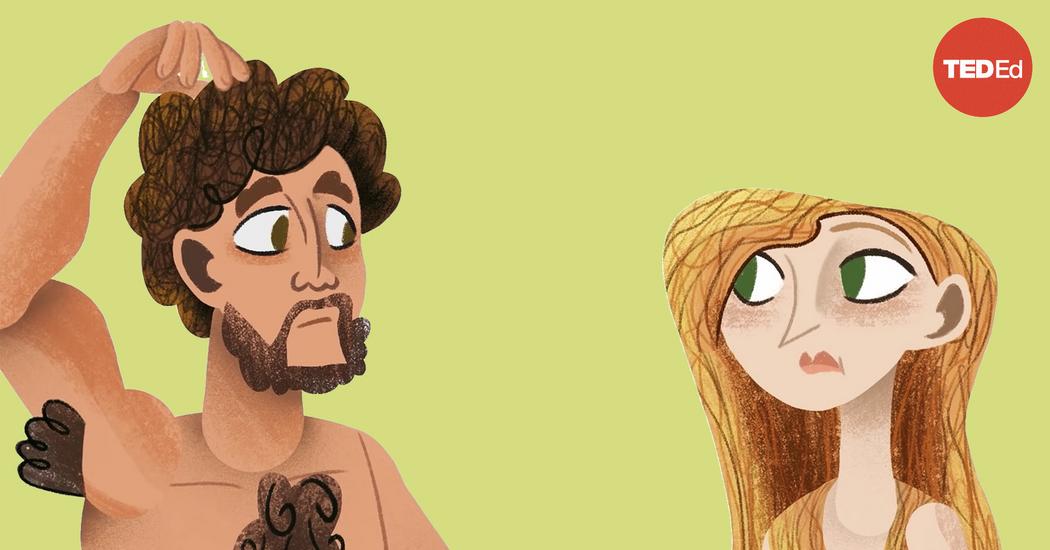 Nina G. Jablonski Why do we have hair in such random places? TED Talk