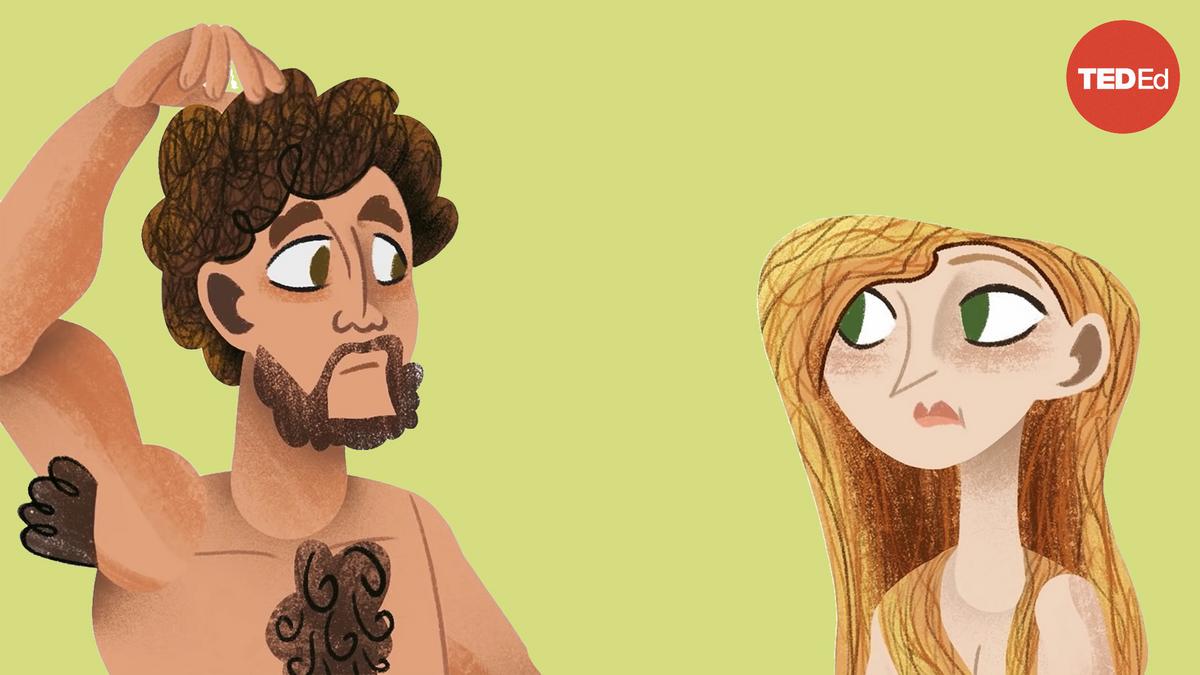 Nina G. Jablonski Why do we have hair in such random places? TED Talk