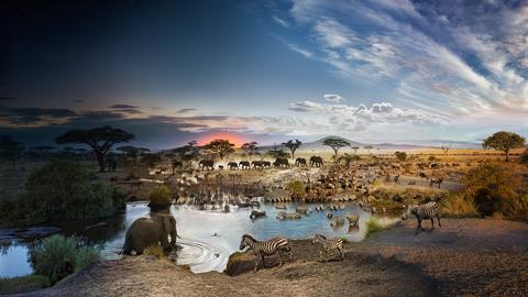 24 hours on Earth -- in one image | Stephen Wilkes