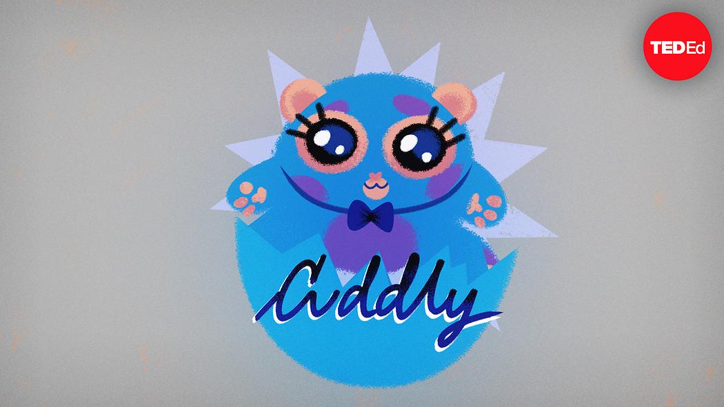 Daniel Finkel: Can you solve the cuddly duddly fuddly wuddly riddle ...