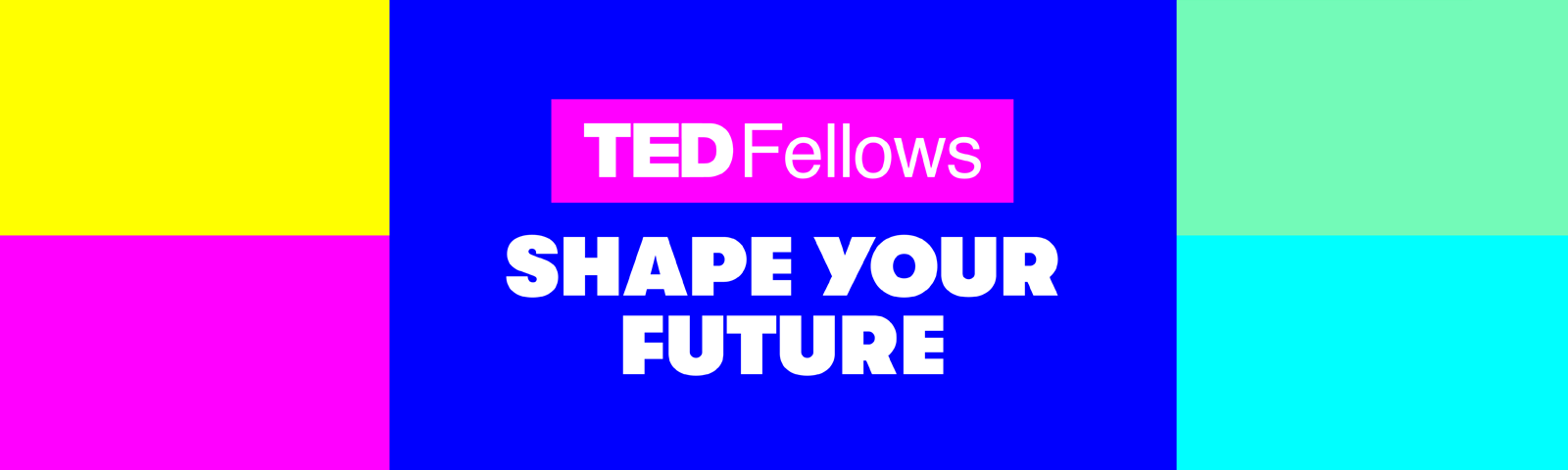 TED Fellows: Shape Your Future