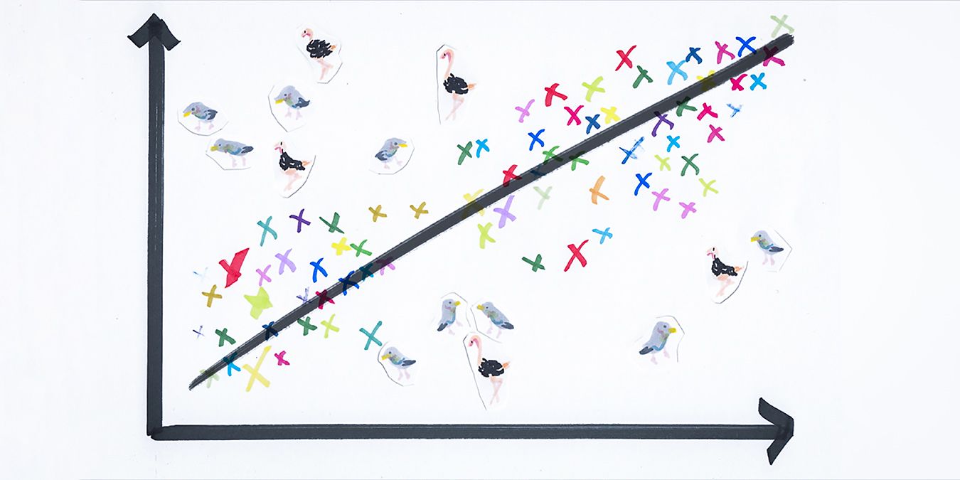 What we miss when we focus on the average