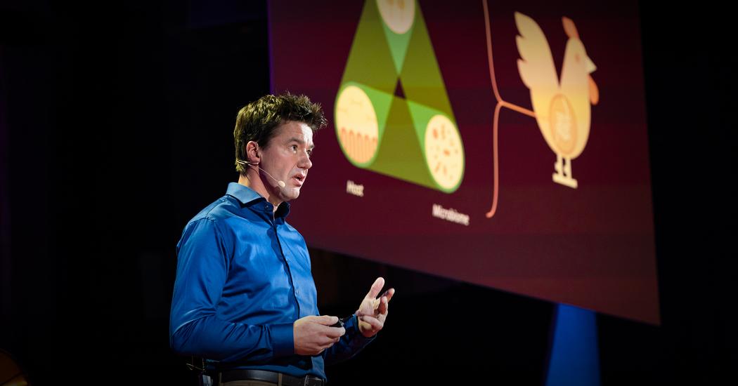 The urgent case for antibiotic-free animals