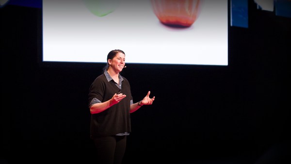 Erin Baumgartner: Big data, small farms and a tale of two tomatoes