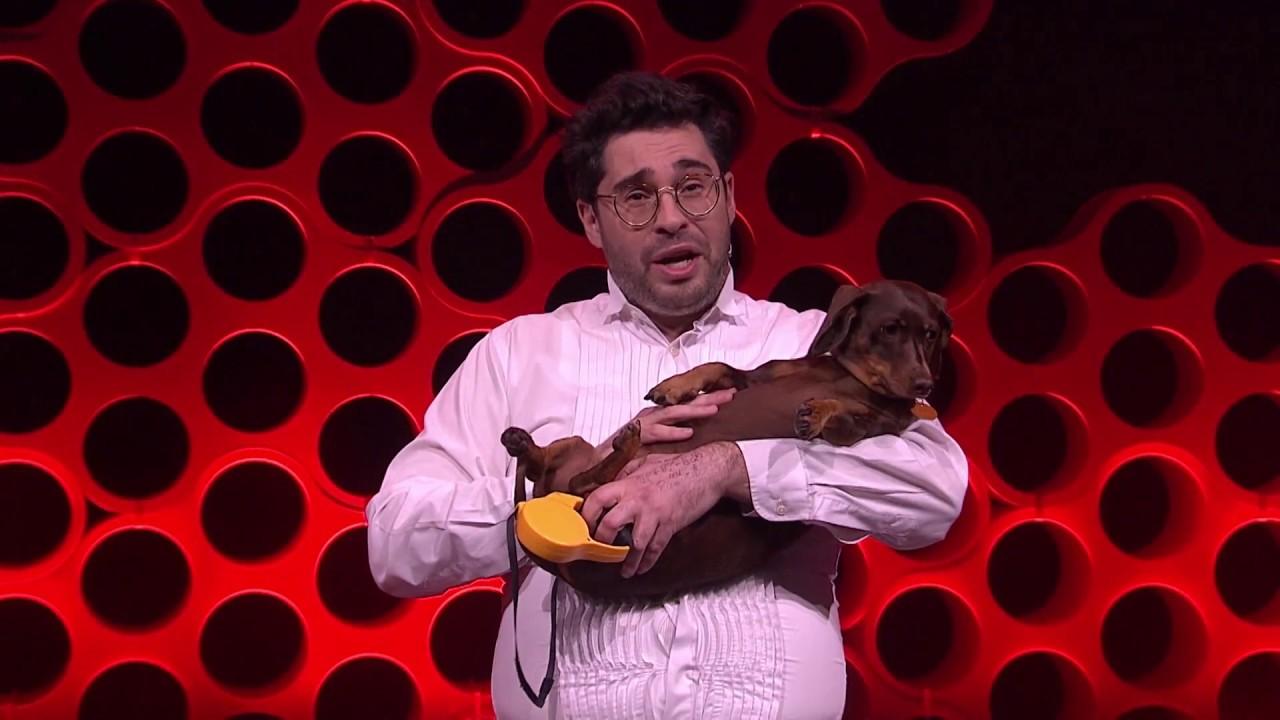 David Capra: The long and the short of it: life lessons from art-dog ...