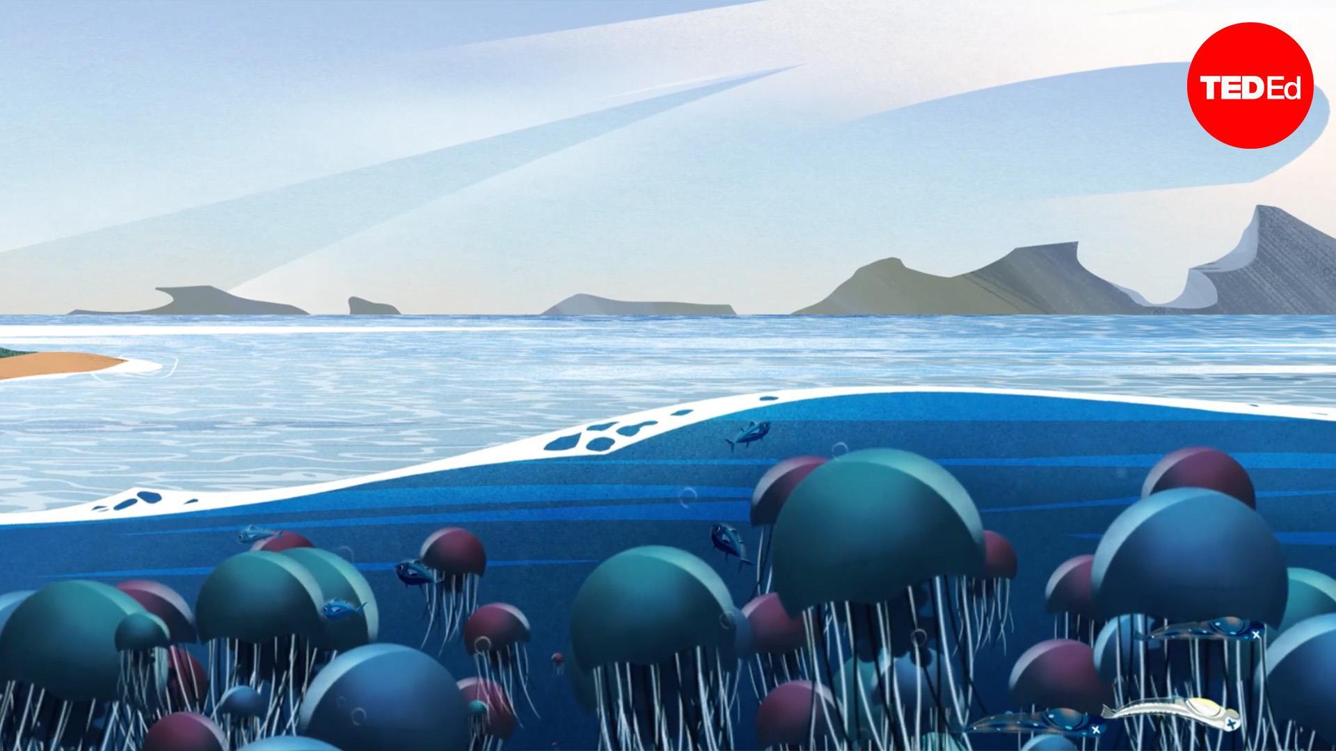 The one thing stopping jellyfish from taking over