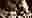 poster placeholder