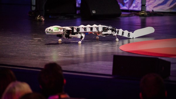 Auke Ijspeert: A robot that runs and swims like a salamander