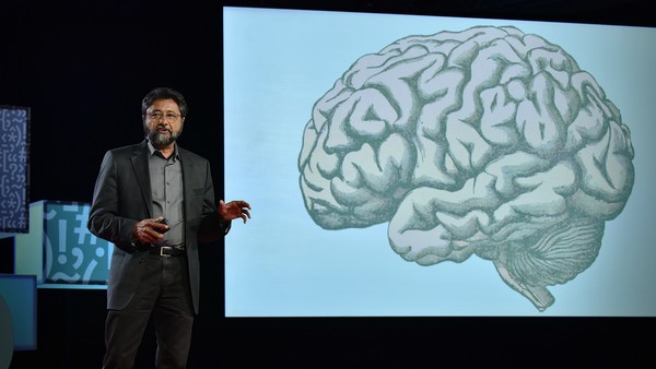 Anjan Chatterjee: How your brain decides what is beautiful