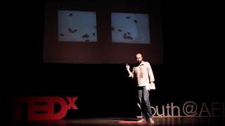 Babür Erdem: Arılar Ve Kodlar | TED Talk