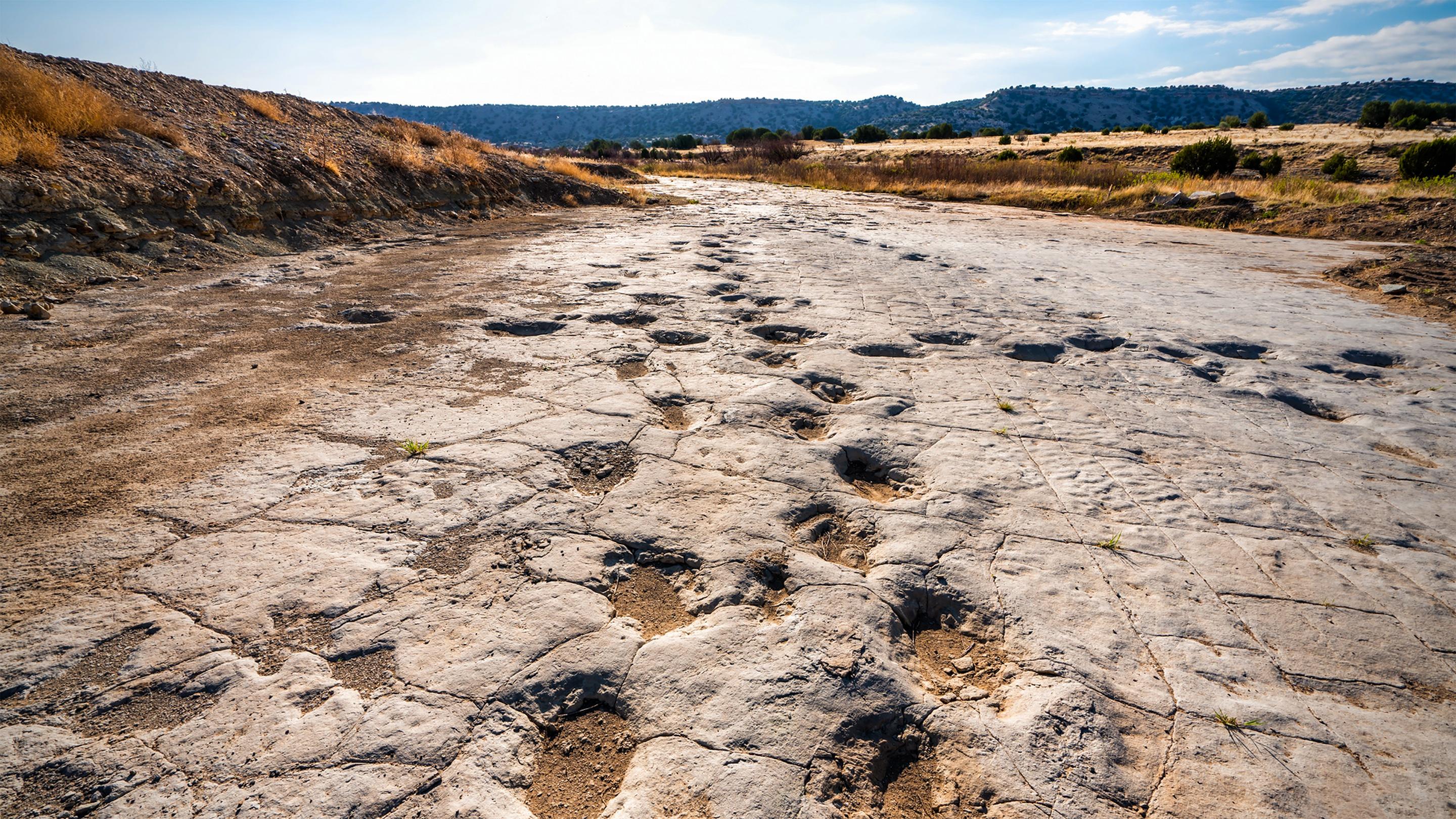 The dinosaur detectives of real-life Jurassic parks | Martin Lockley