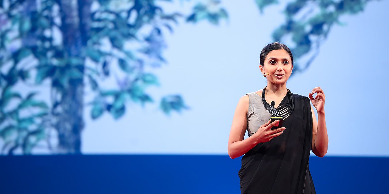 An illustrated kingdom of real, fantastical plants