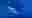 poster placeholder